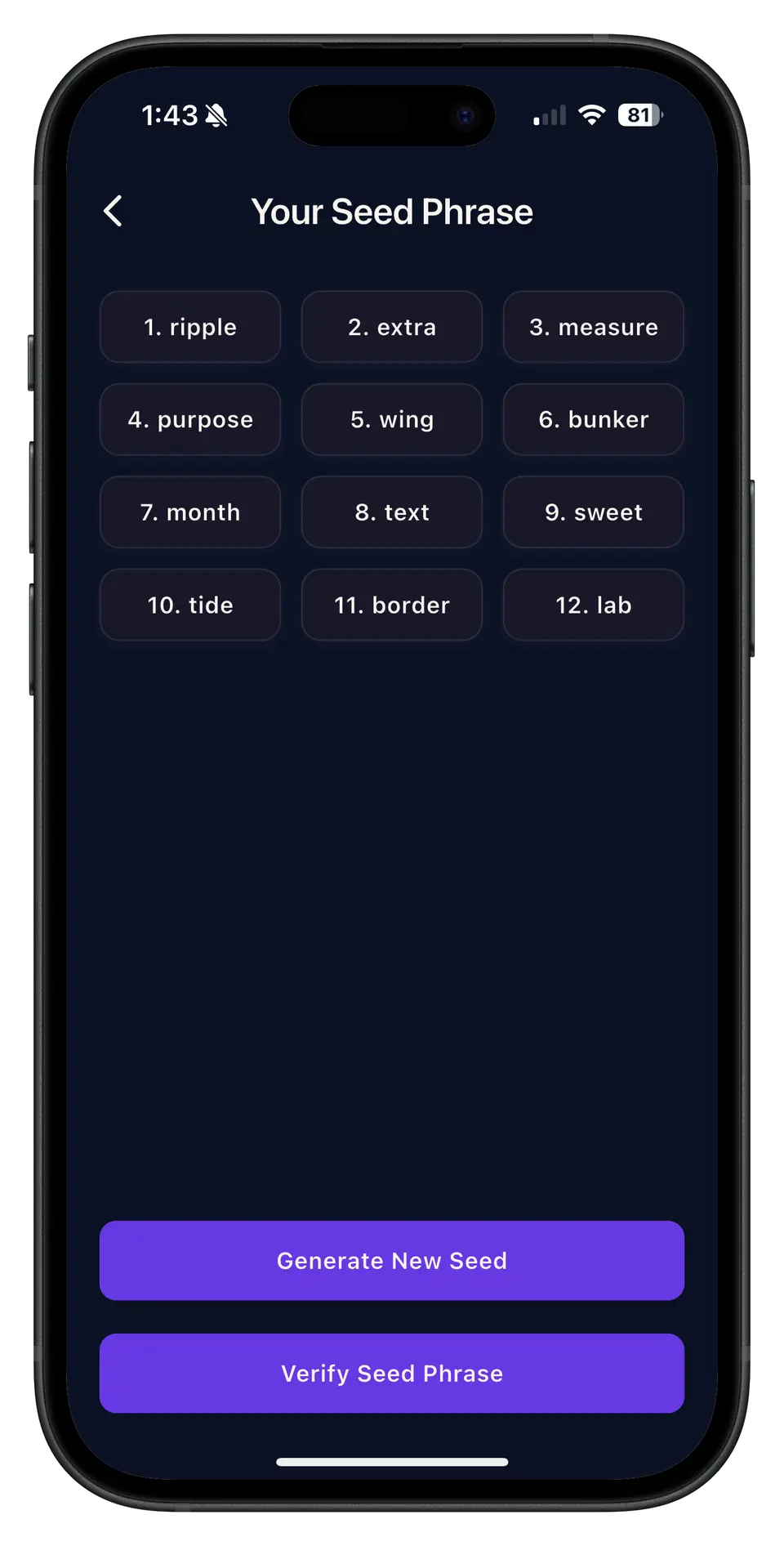 Seed phrase and recovery flow